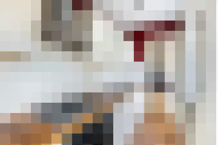 Croesestraat 31 Utrecht thumbnail 16