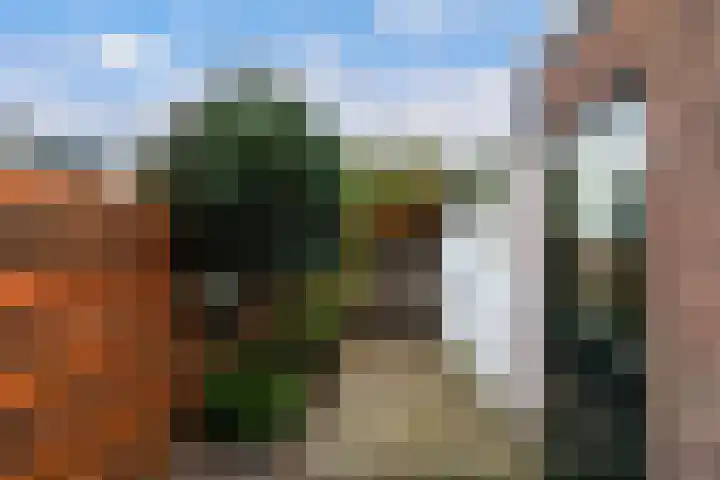 Croesestraat 31 Utrecht thumbnail 22
