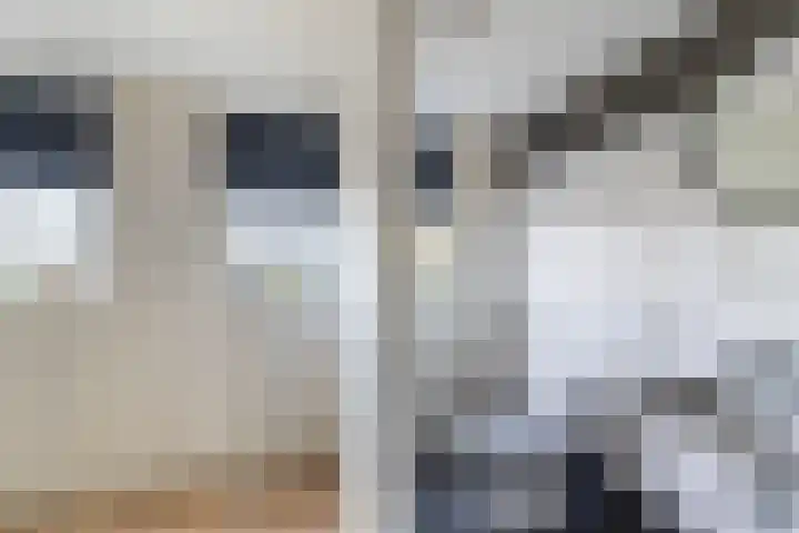 Croesestraat 31 Utrecht thumbnail 35