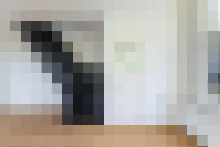 Croesestraat 31 Utrecht thumbnail 7