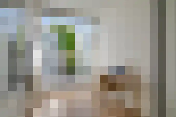 Croesestraat 41 Utrecht thumbnail 13
