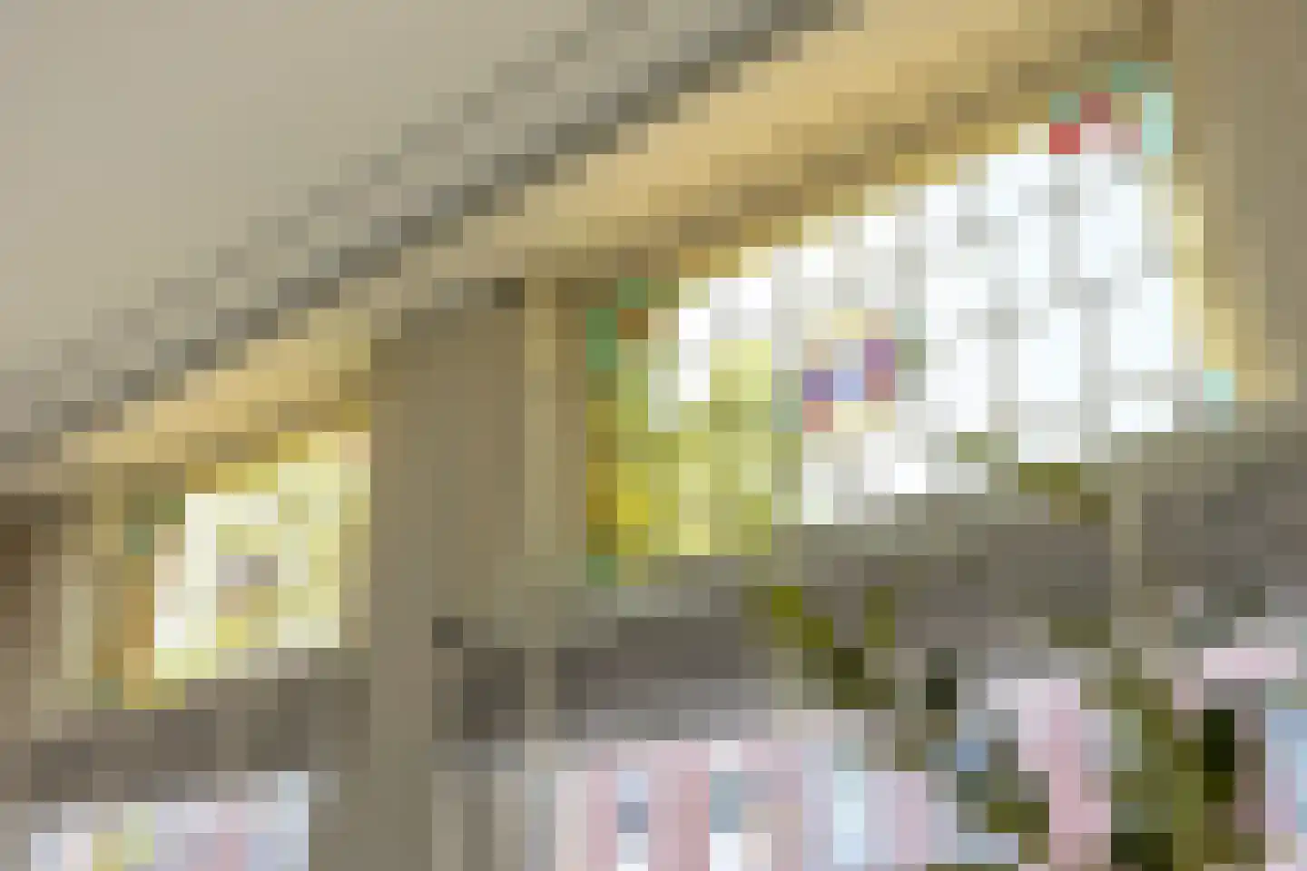 Croesestraat 5 Utrecht thumbnail 10