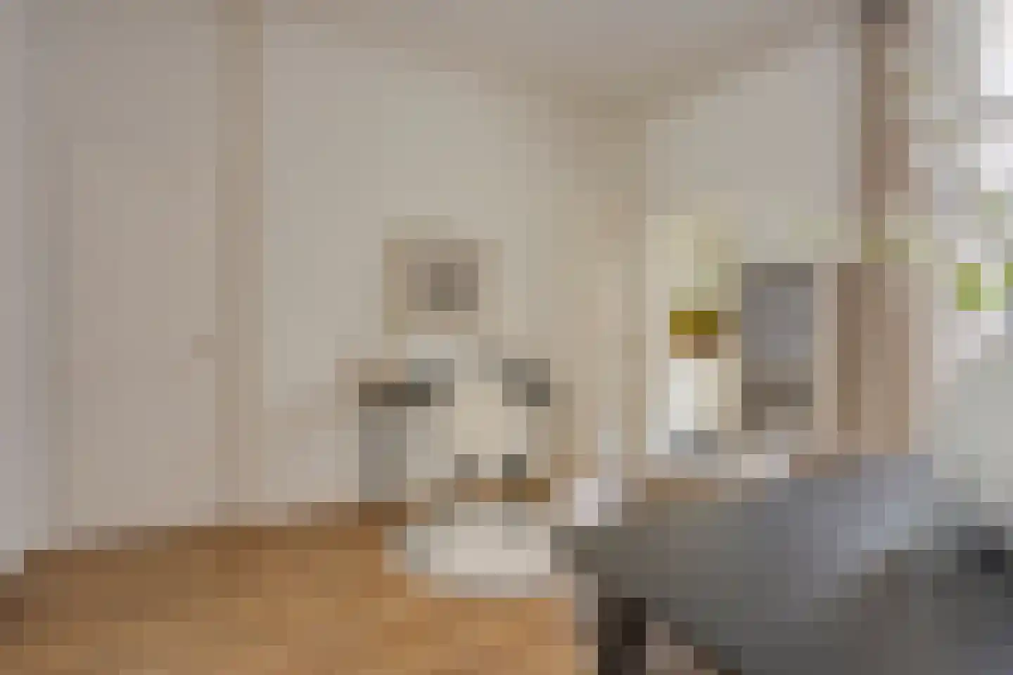 Croesestraat 5 Utrecht thumbnail 16