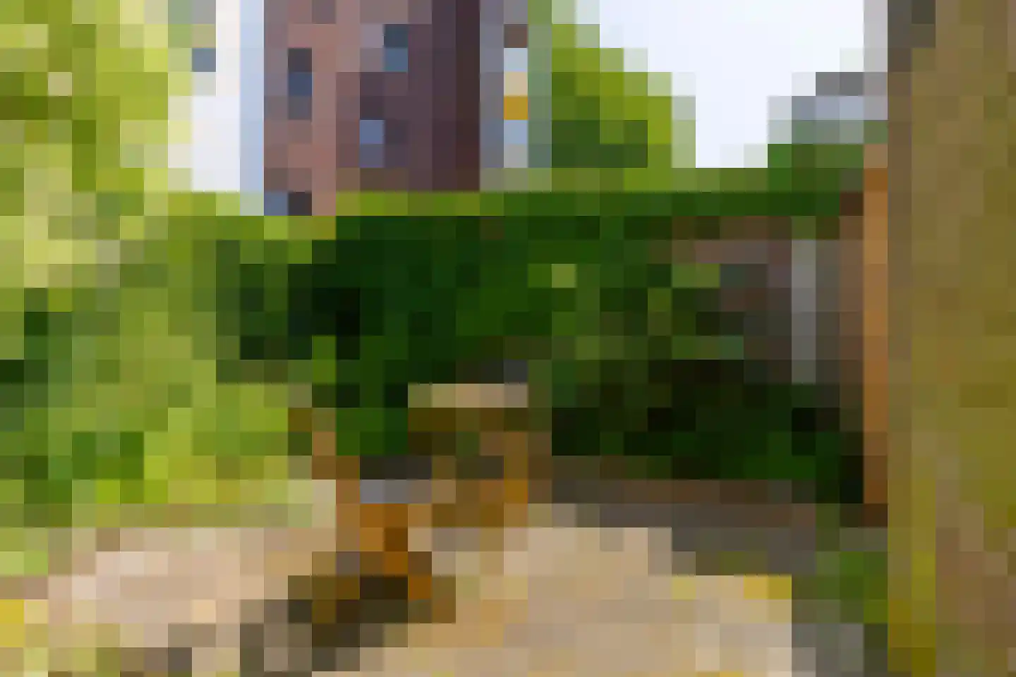 Croesestraat 5 Utrecht thumbnail 35