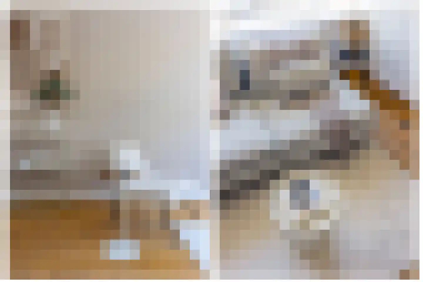 Croesestraat 5 Utrecht thumbnail 9