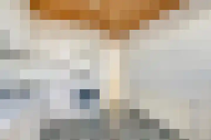 Croesestraat 51 Utrecht thumbnail 11