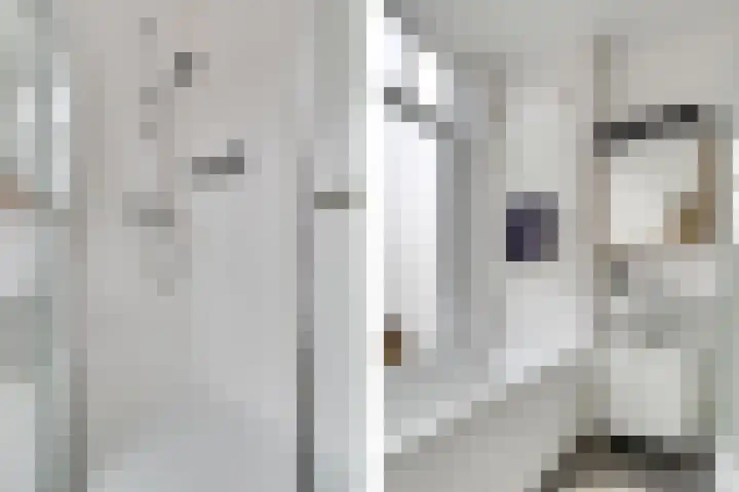 Croesestraat 56 A Utrecht thumbnail 19