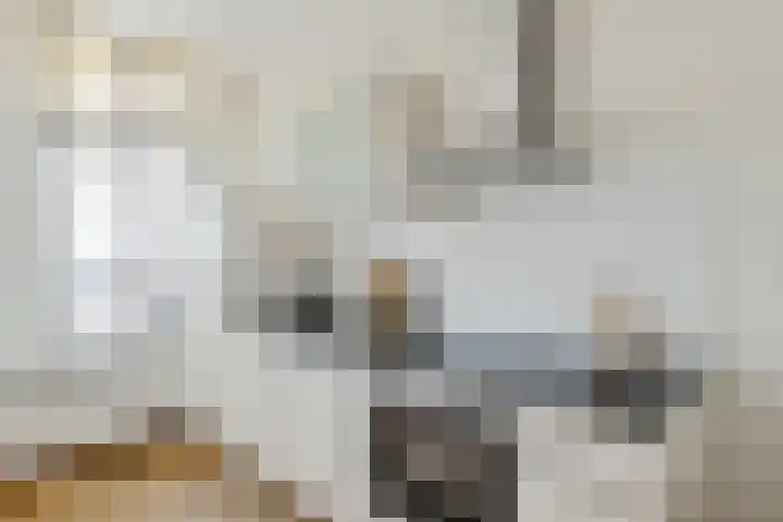 Croesestraat 6 Utrecht thumbnail 17
