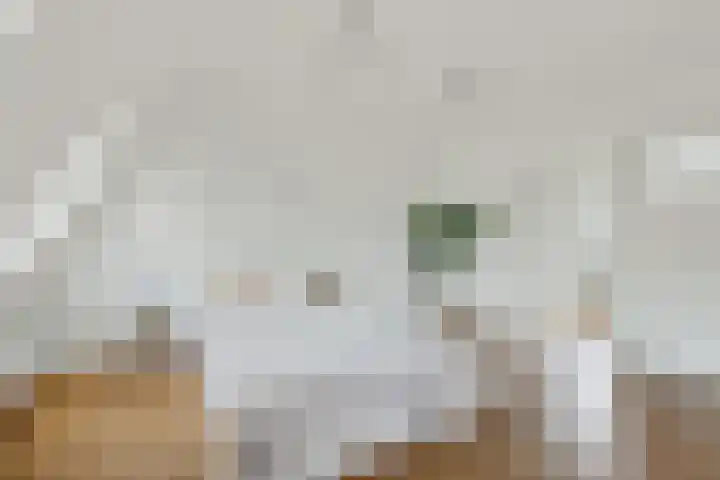 Croesestraat 6 Utrecht thumbnail 31