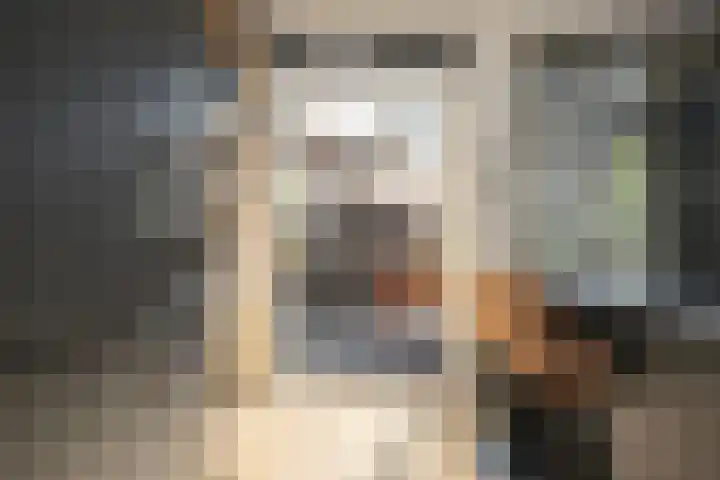 Croesestraat 60 Utrecht thumbnail 12