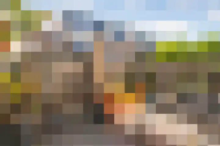 Croesestraat 60 Utrecht thumbnail 16