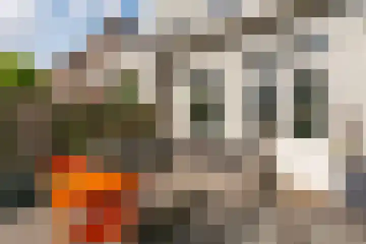 Croesestraat 60 Utrecht thumbnail 17