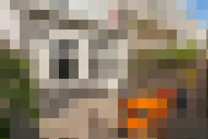 Croesestraat 60 Utrecht thumbnail 18