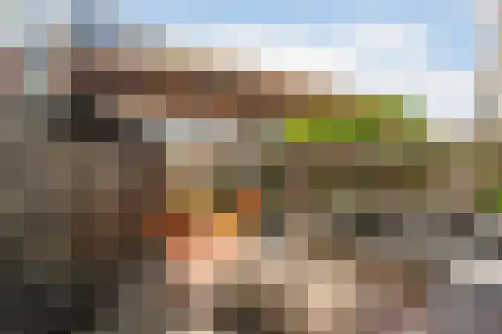 Croesestraat 60 Utrecht thumbnail 19
