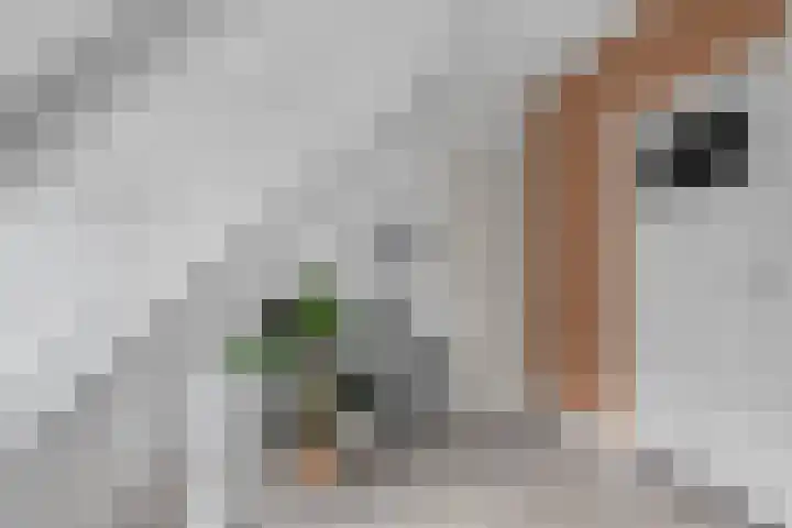 Croesestraat 73 BS Utrecht thumbnail 36