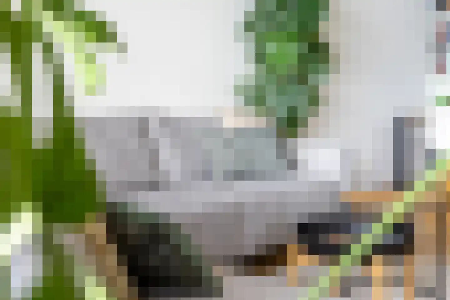 Croesestraat 85 Utrecht thumbnail 23