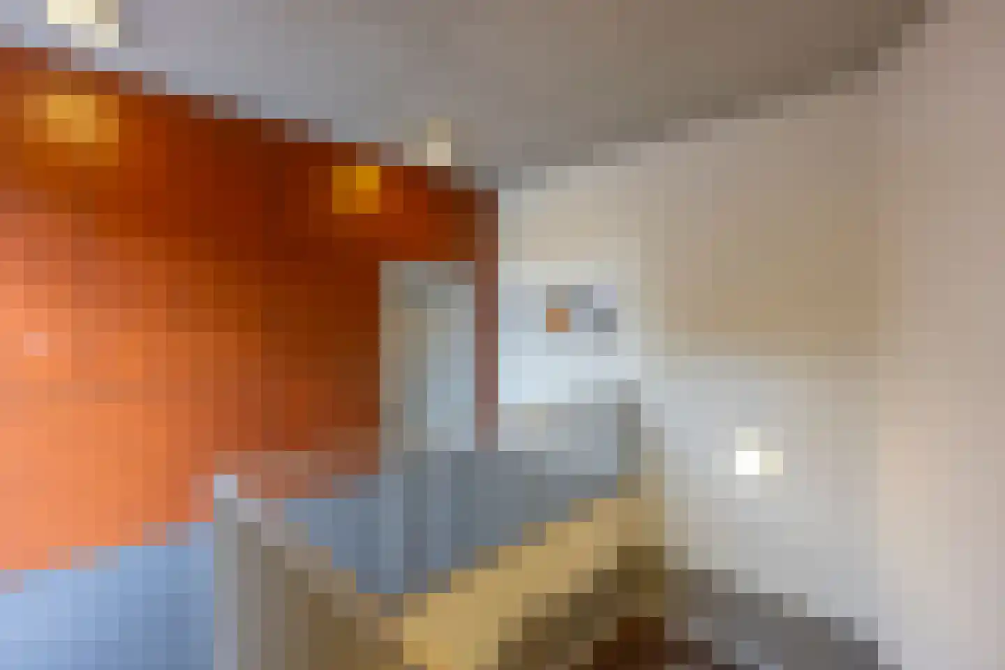 Croesestraat 91 Utrecht thumbnail 11