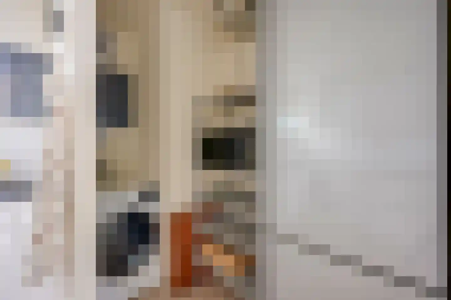 Croesestraat 91 Utrecht thumbnail 21