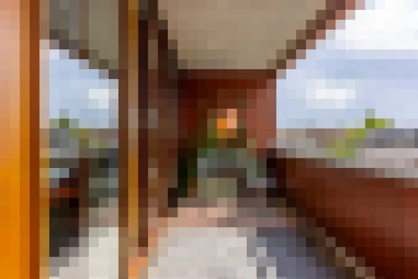 Croesestraat 91 Utrecht thumbnail 27