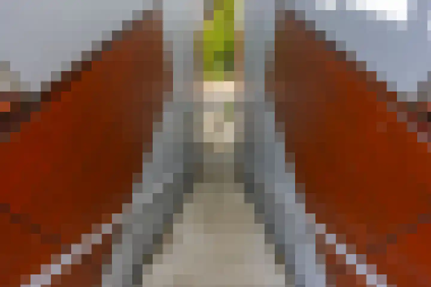 Croesestraat 91 Utrecht thumbnail 43