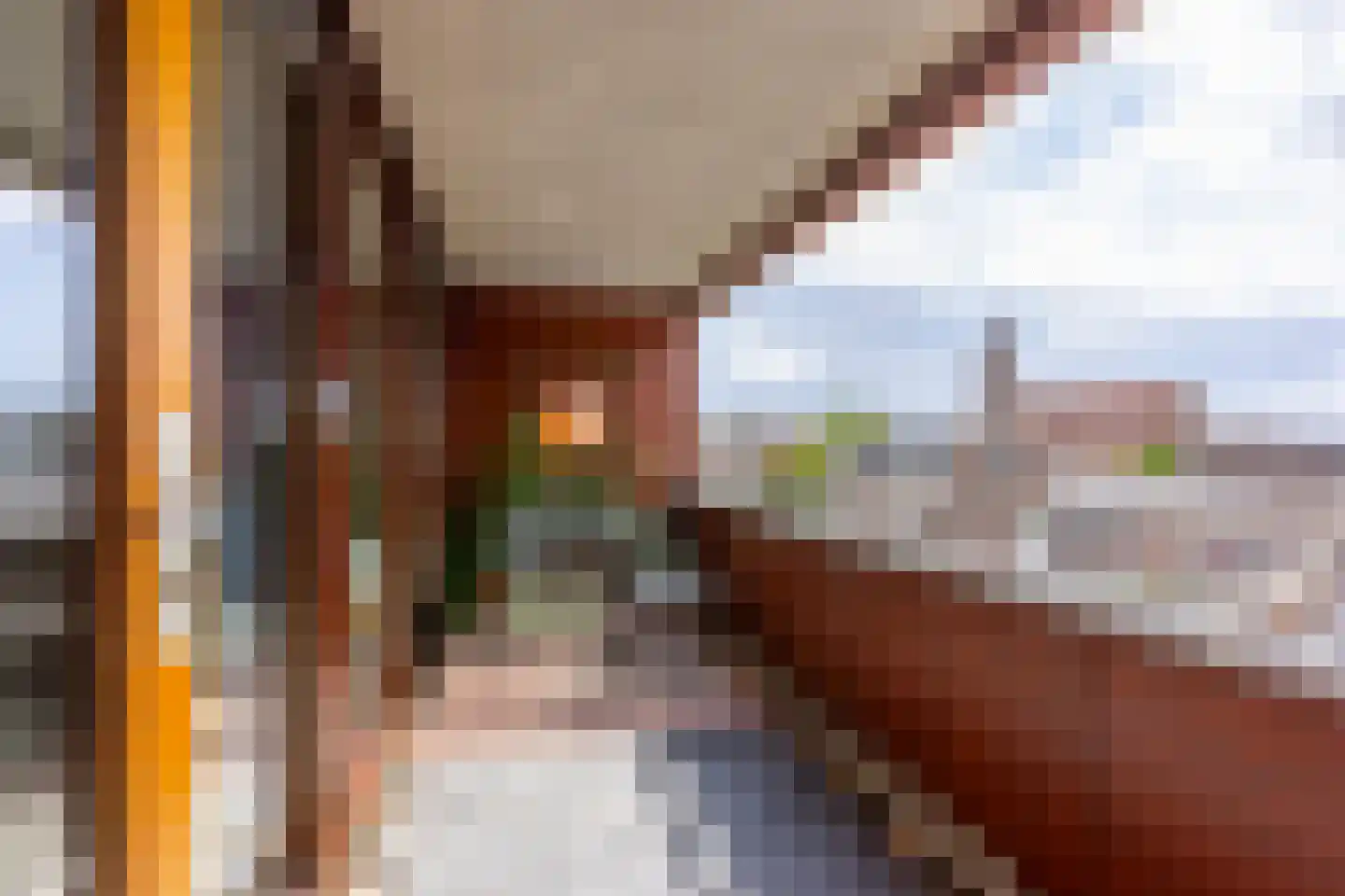 Croesestraat 91 Utrecht thumbnail 6