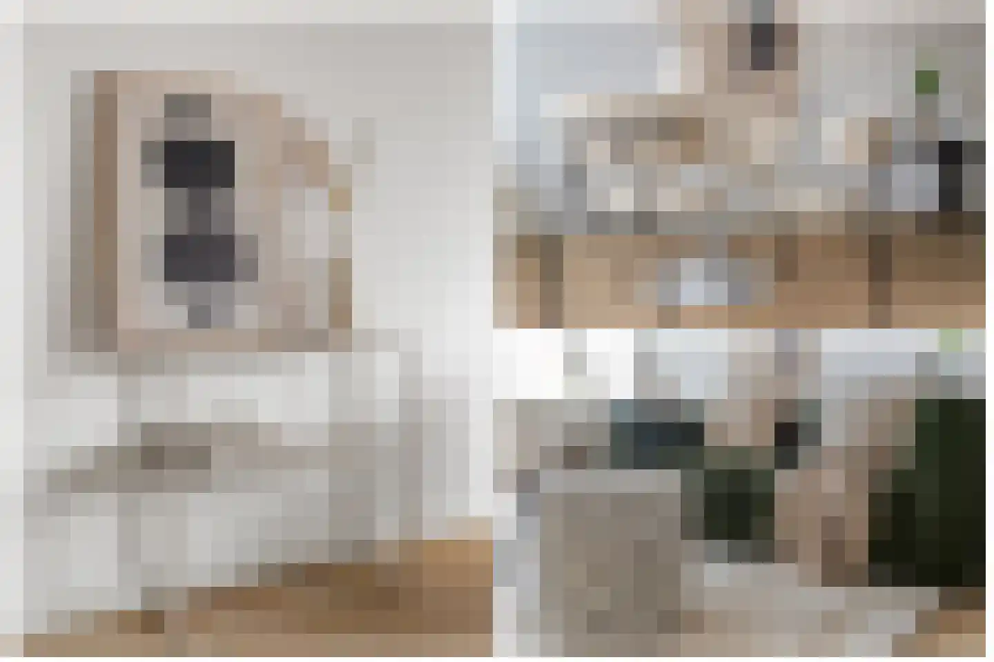 Croesestraat 93 Utrecht thumbnail 9