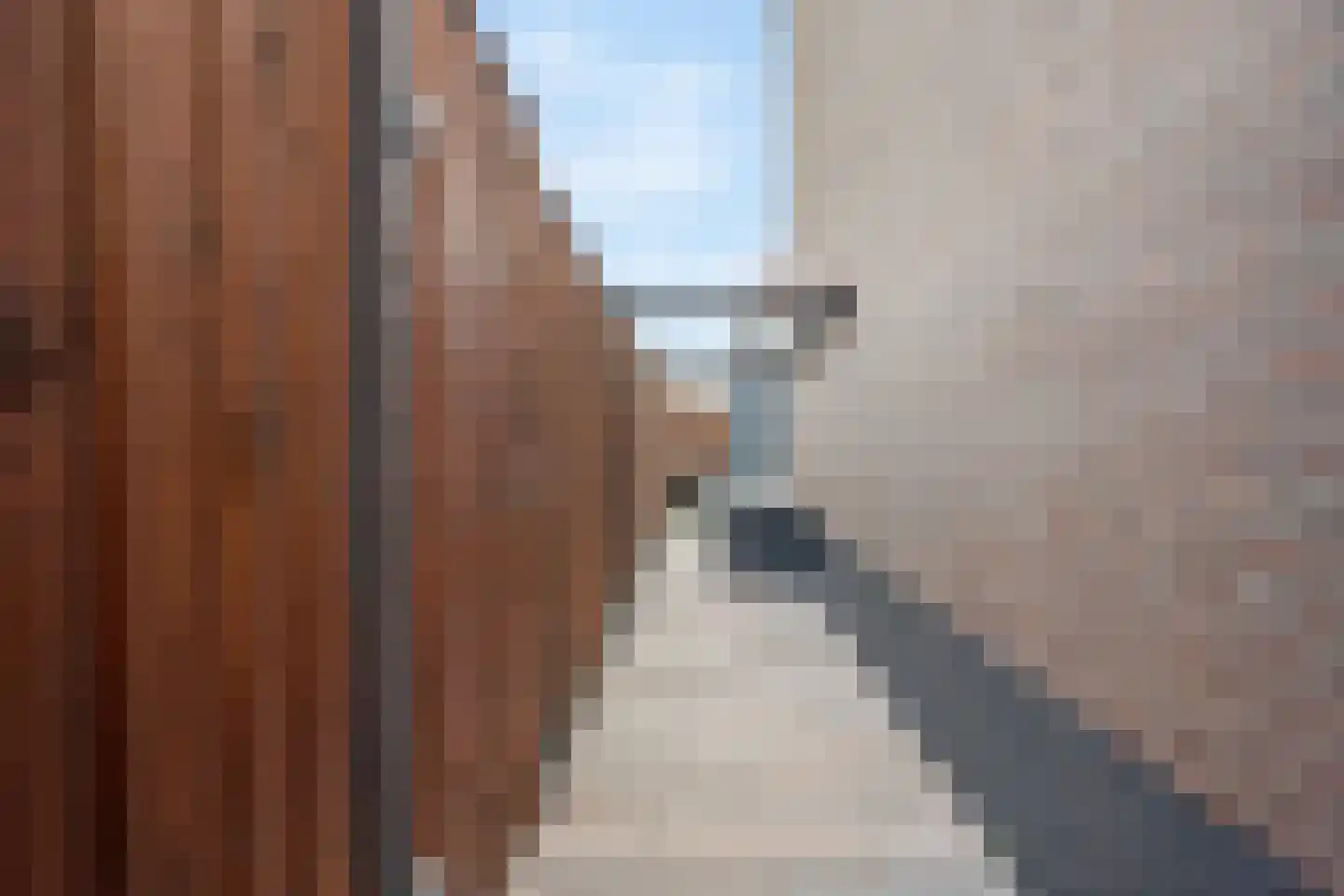 Croesinck 9 Benthuizen thumbnail 39