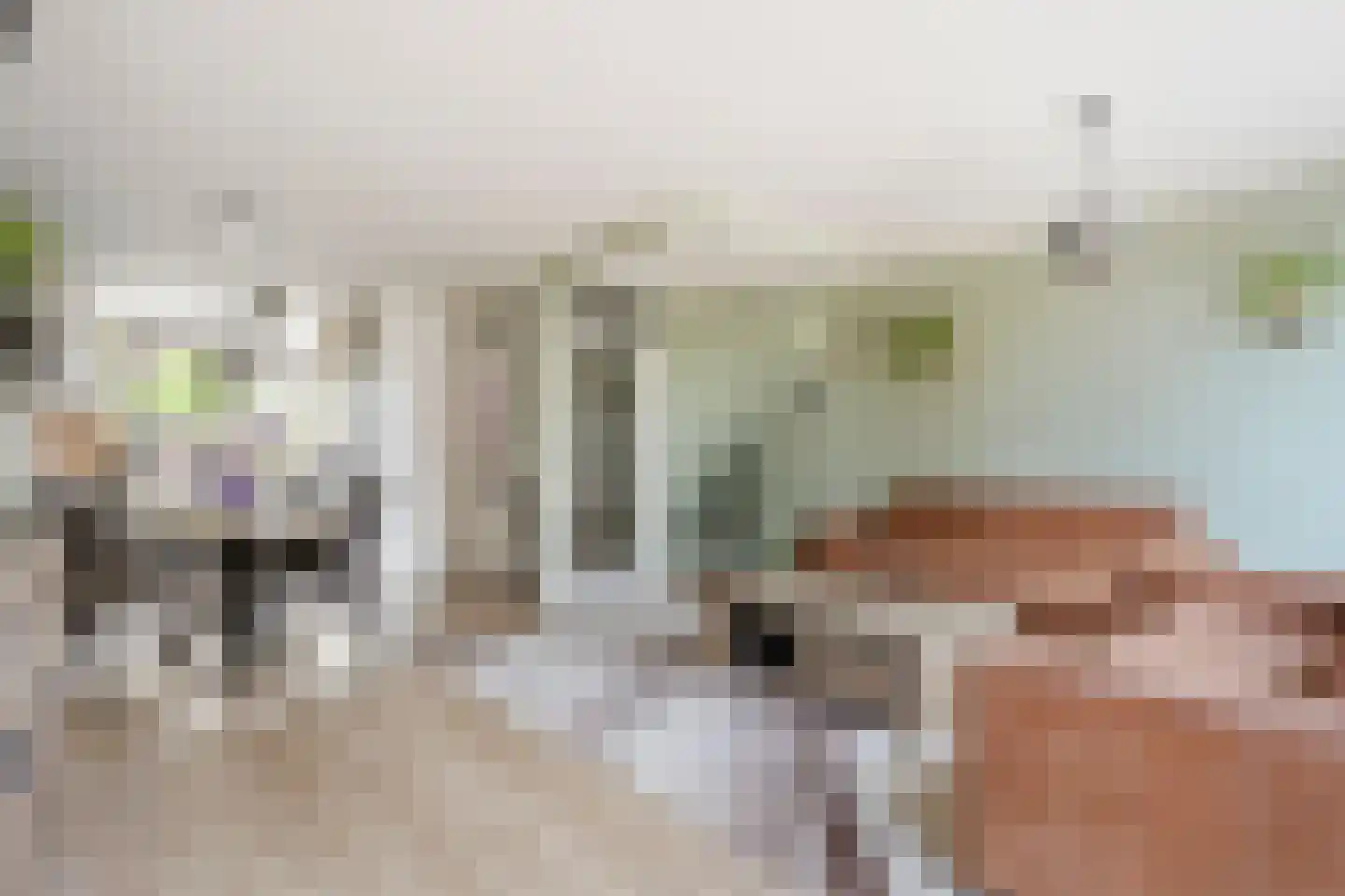 Croesinck 9 Benthuizen thumbnail 8