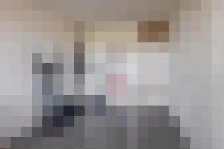 Croesinckplein 117 Zoetermeer thumbnail 23