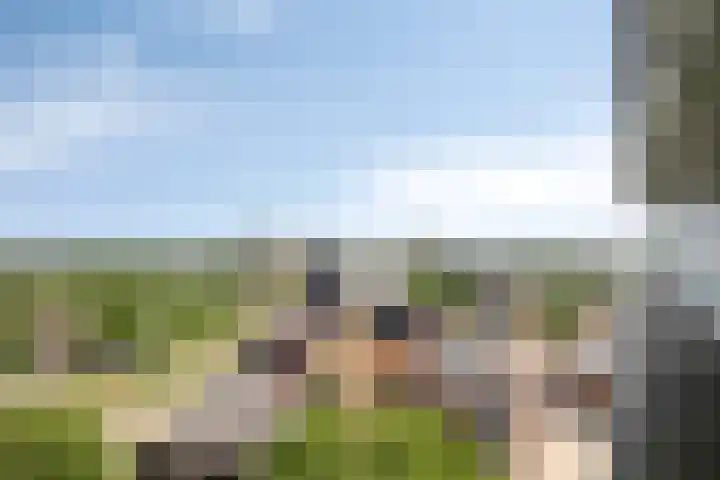 Croesinckplein 134 Zoetermeer thumbnail 17