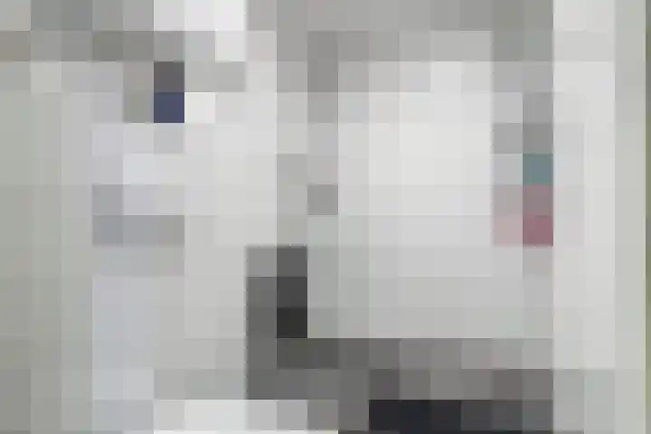 Croesinckplein 134 Zoetermeer thumbnail 22