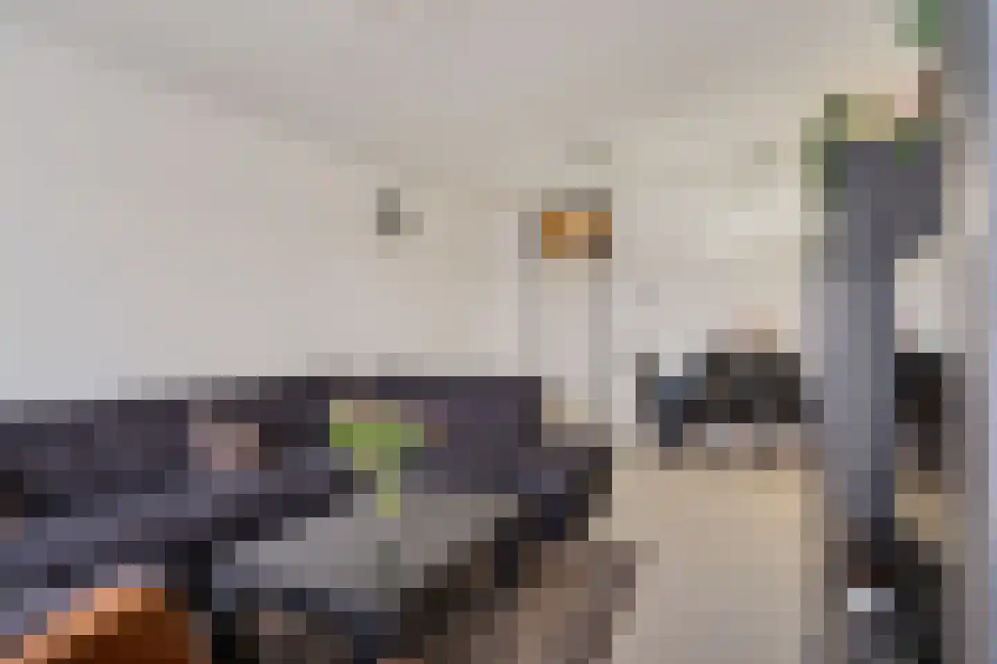 Croesinckplein 36 Zoetermeer thumbnail 24