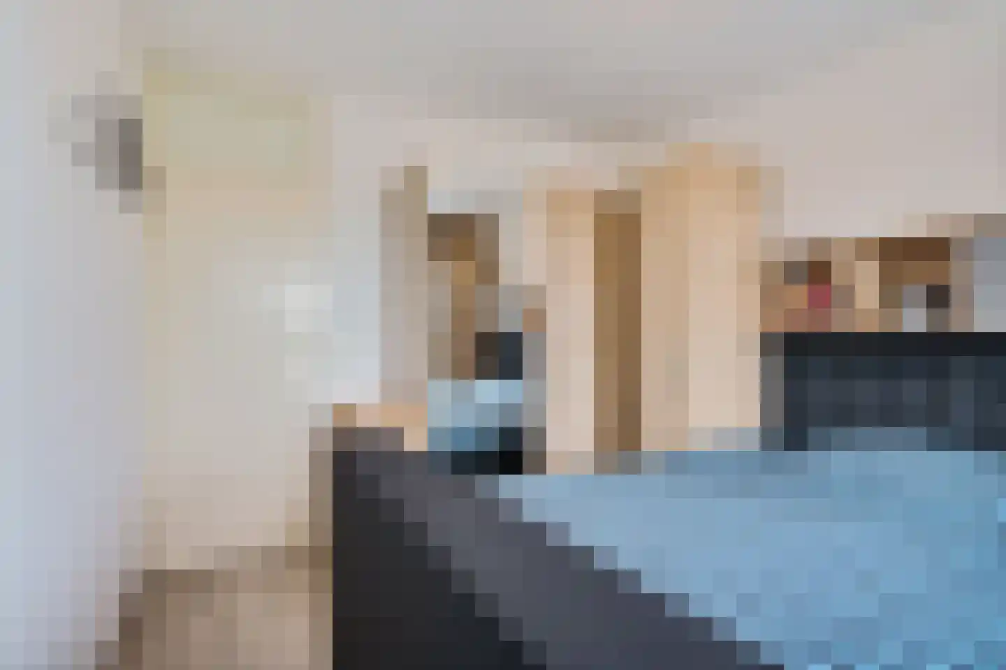 Croesinckplein 36 Zoetermeer thumbnail 41