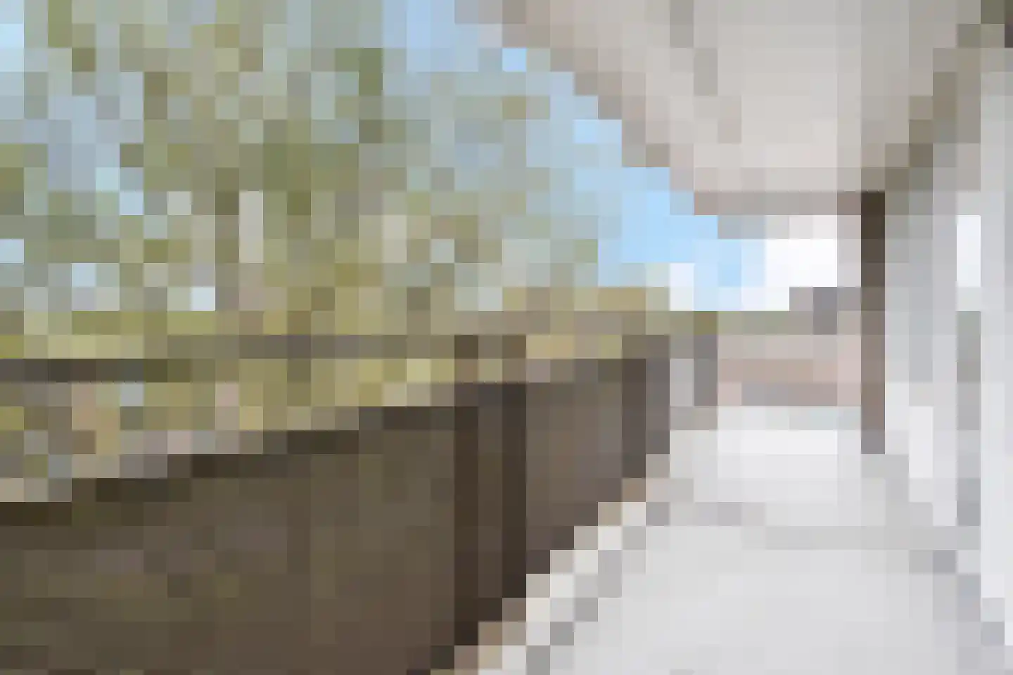 Croesinckplein 55 Zoetermeer thumbnail 10