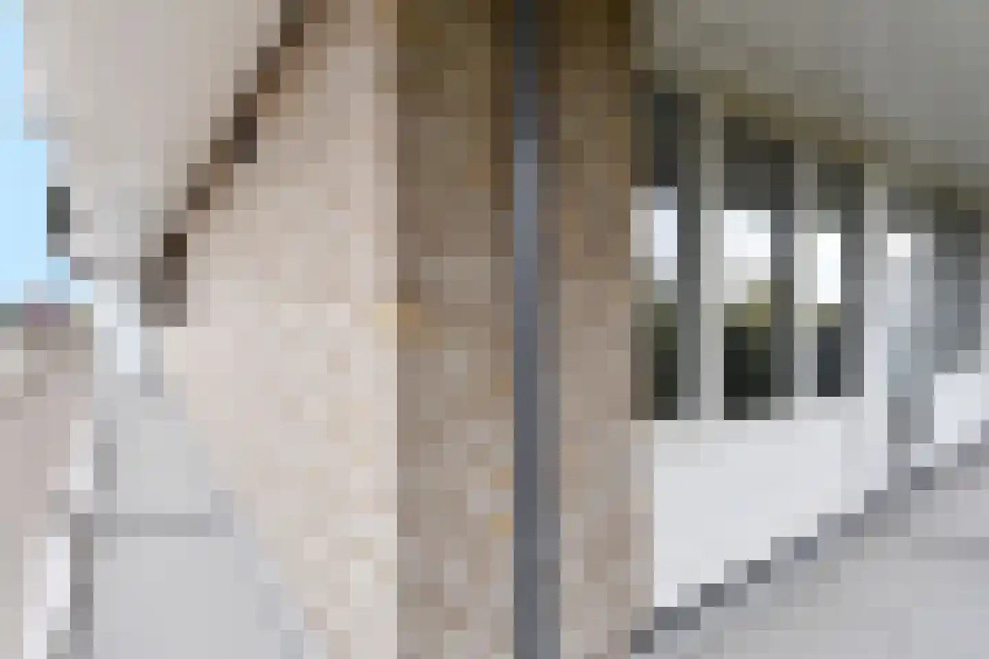 Croesinckplein 55 Zoetermeer thumbnail 12