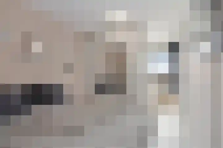 Croesinckplein 56 Zoetermeer thumbnail 20