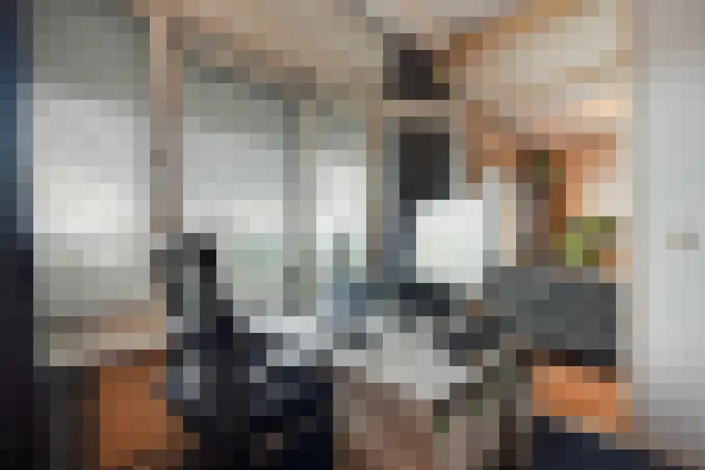 Croesinckplein 58 Zoetermeer thumbnail 20