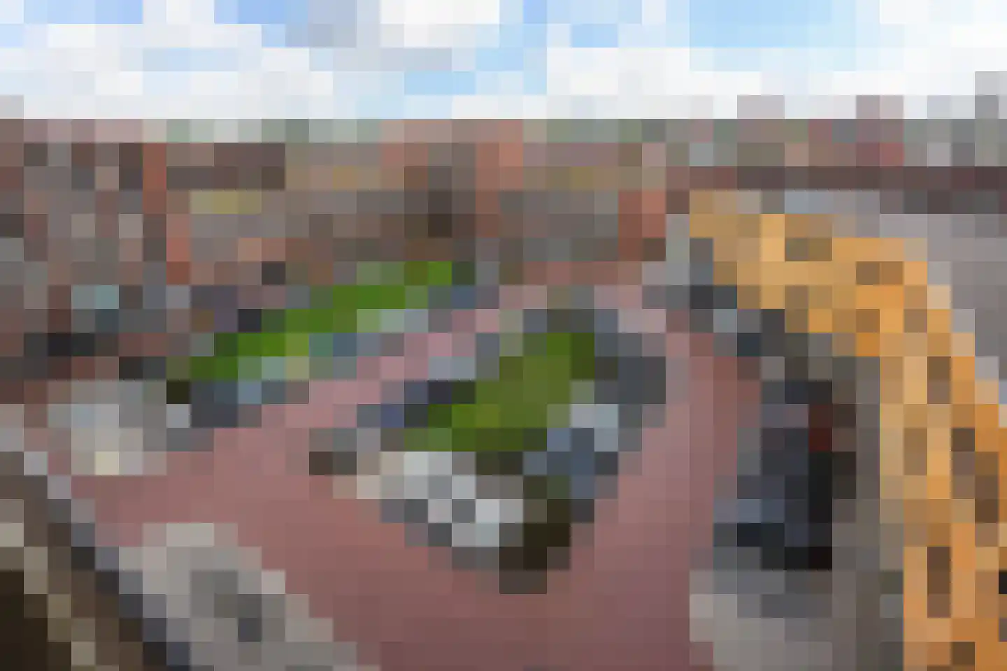 Croesinckplein 58 Zoetermeer thumbnail 29