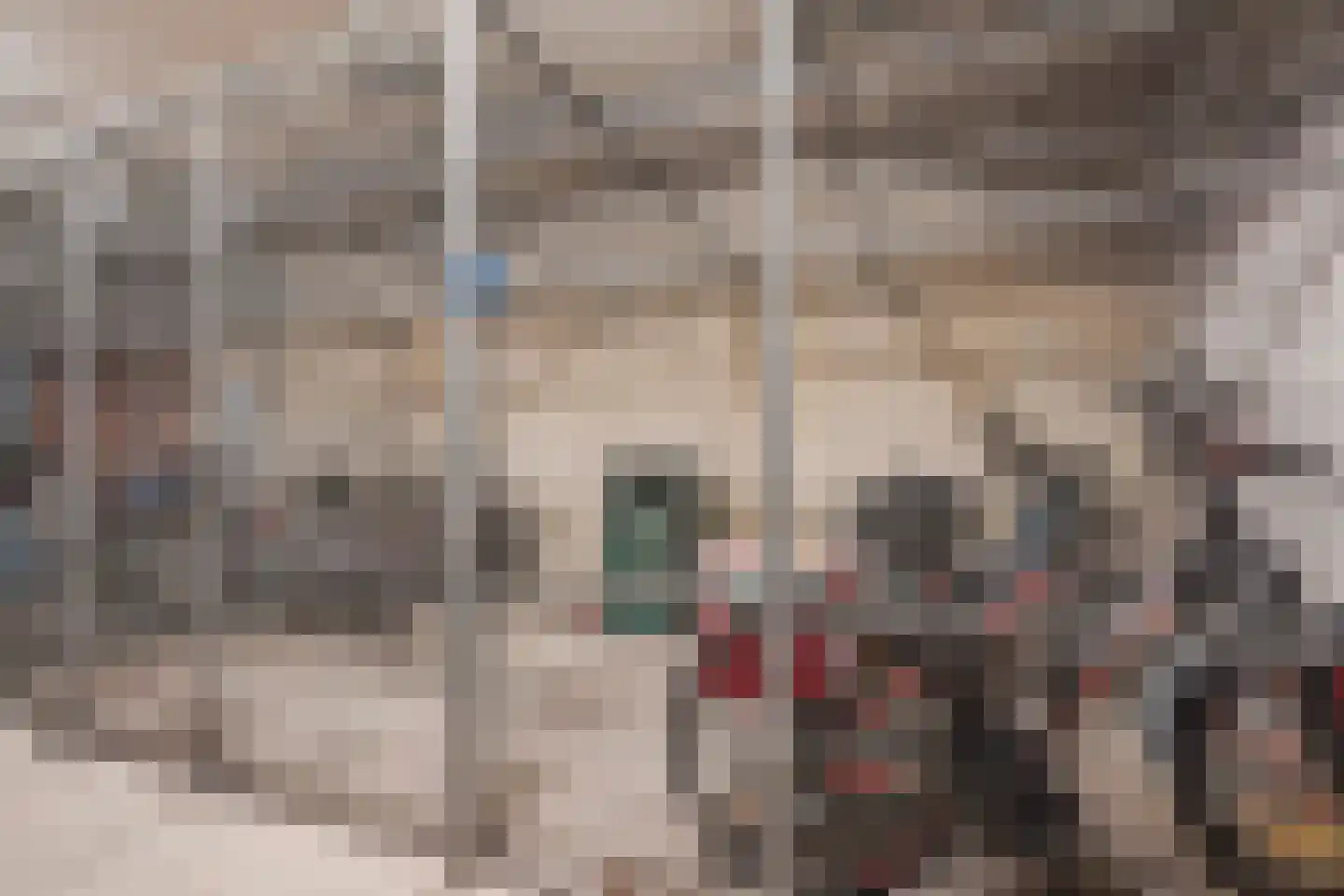 Croesinckplein 58 Zoetermeer thumbnail 33