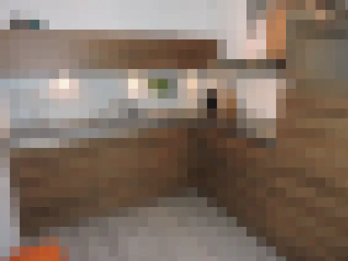 Croesinckplein 66 Zoetermeer thumbnail 4