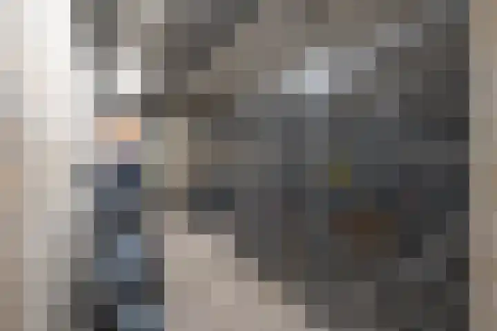 Croesinckplein 72 Zoetermeer thumbnail 24