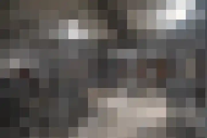 Croesinckplein 72 Zoetermeer thumbnail 25
