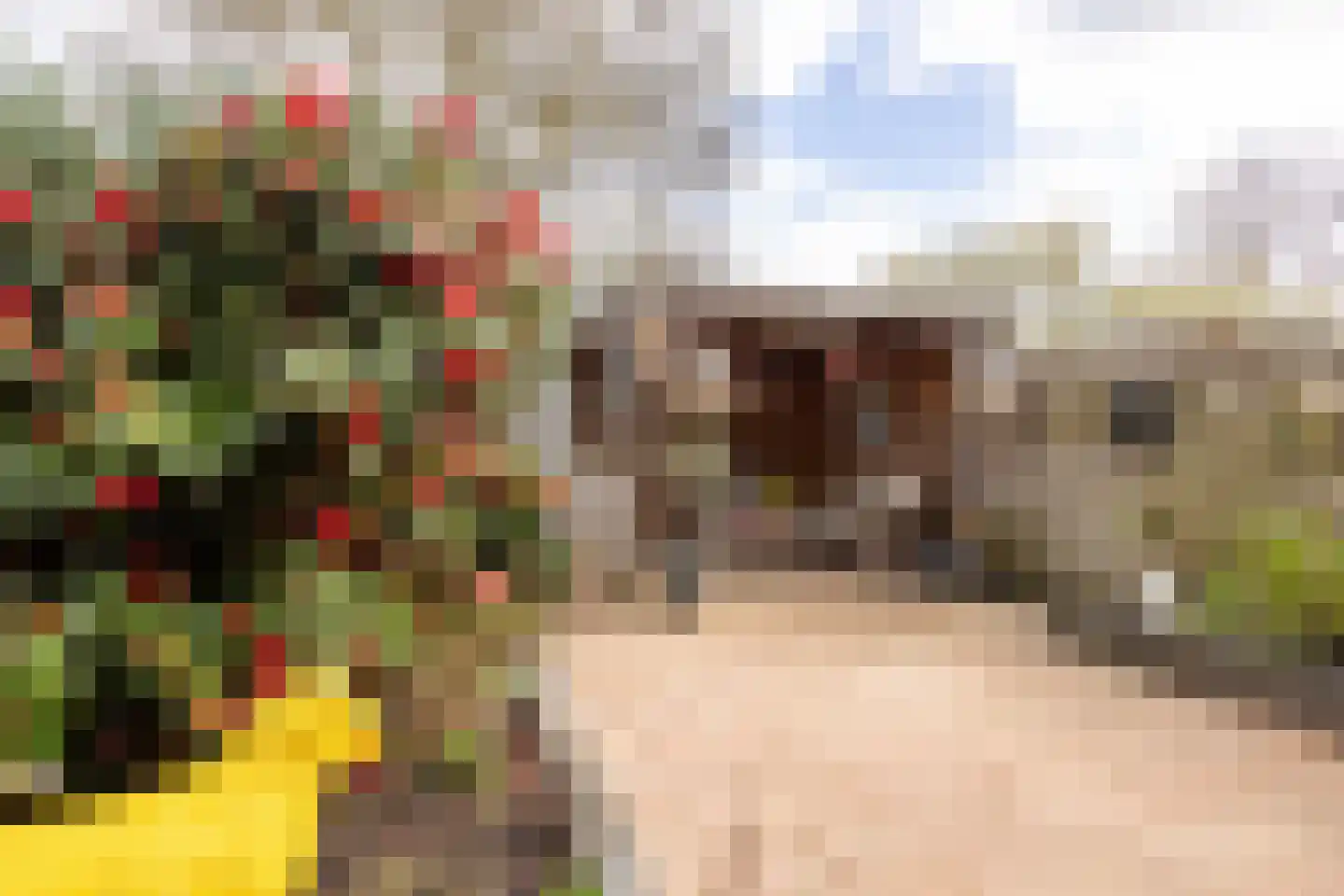 Croessrak 10 Leusden thumbnail 27