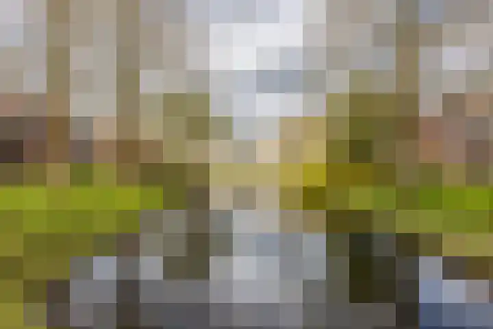 Croessrak 10 Leusden thumbnail 33