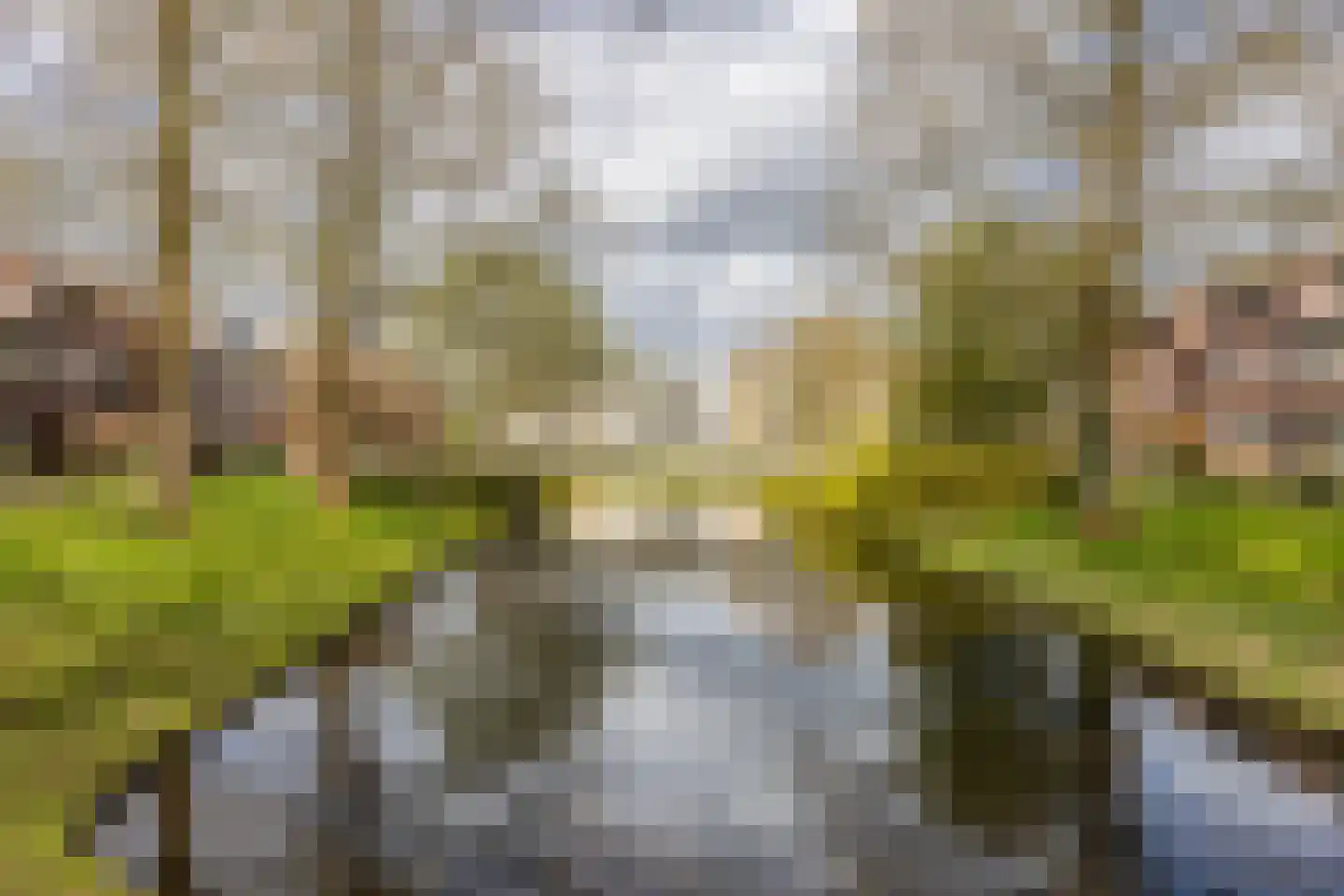 Croessrak 10 Leusden thumbnail 33