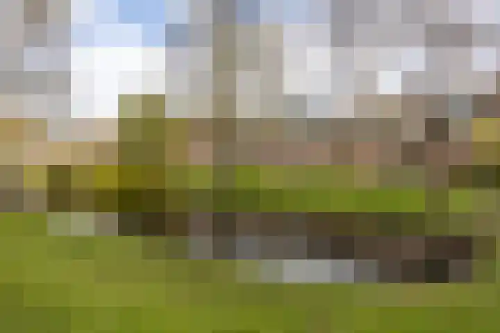 Croessrak 10 Leusden thumbnail 34