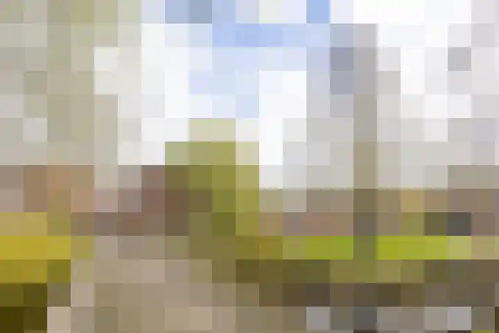 Croessrak 10 Leusden thumbnail 37