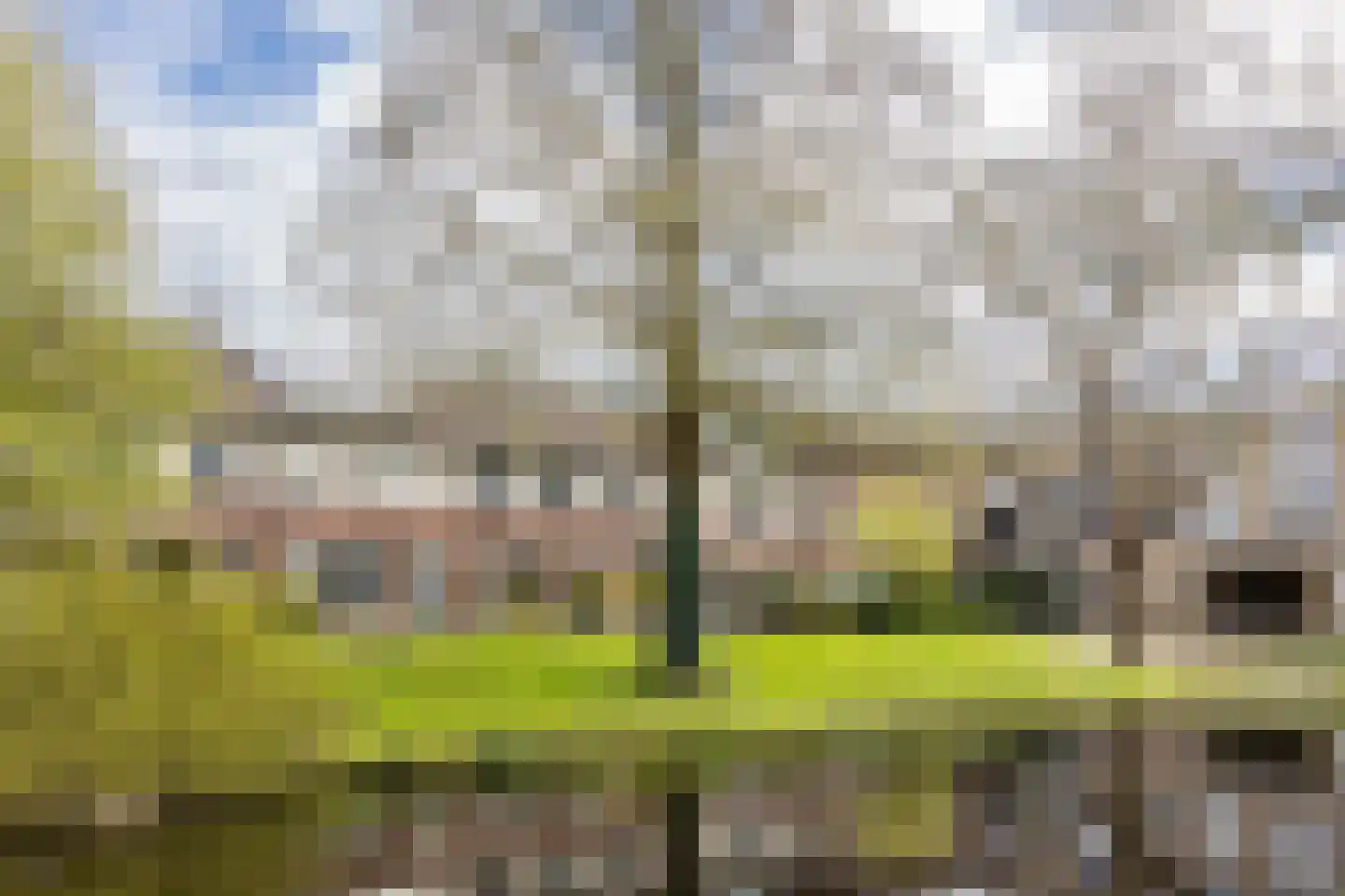 Croessrak 10 Leusden thumbnail 38