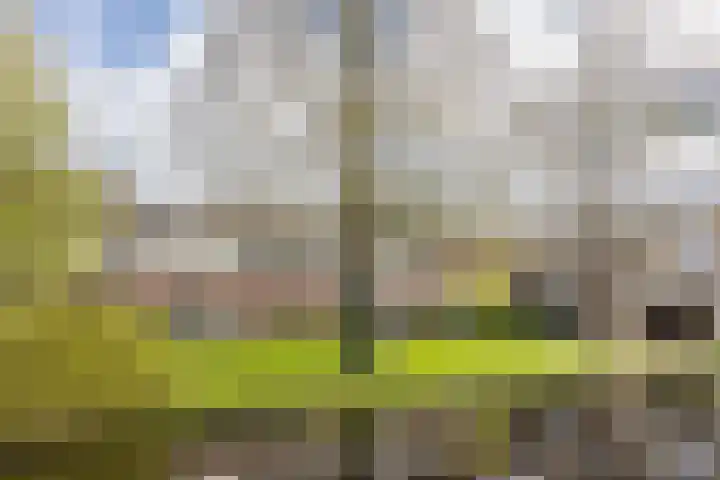 Croessrak 10 Leusden thumbnail 38