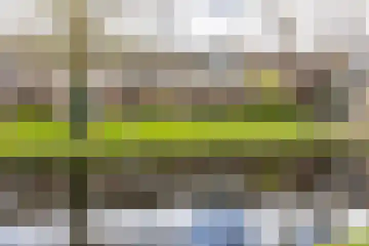 Croessrak 10 Leusden thumbnail 39